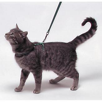 Adjustable Cat Harness