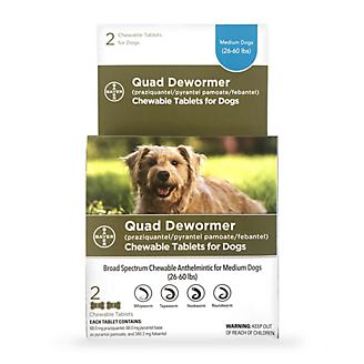 Bayer QUAD Dewormer Medium Dog 2ct 68mg