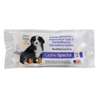 Canine Spectra 5 Vaccine Single Dose 1800petsupplies Com