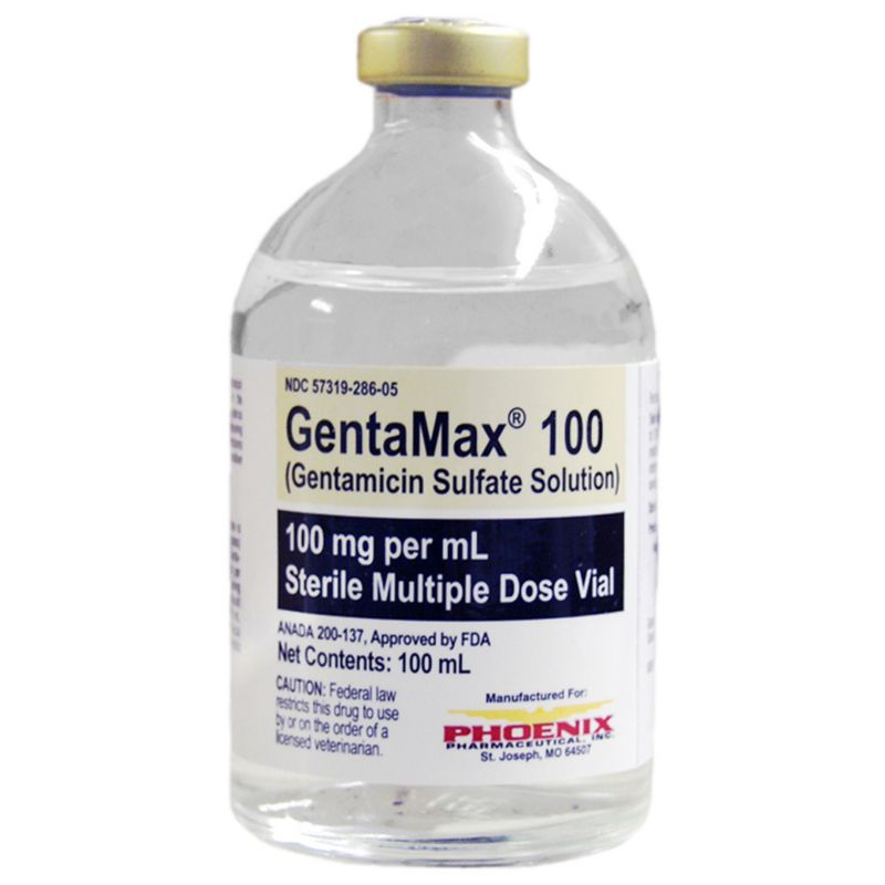 GentaMax(Gentamicin Sulfate Solution)INJ