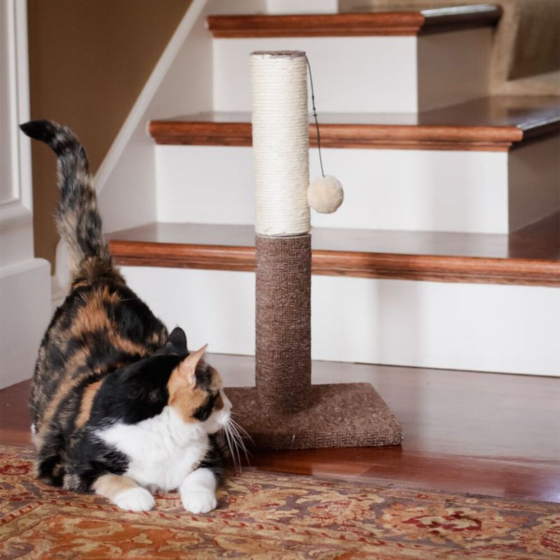 Iconic Pet Kitty Scratch Sisal Cat Post/Toy Brown