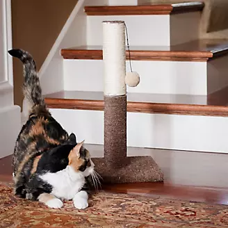 Iconic Pet Kitty Scratch Sisal Cat Post/Toy