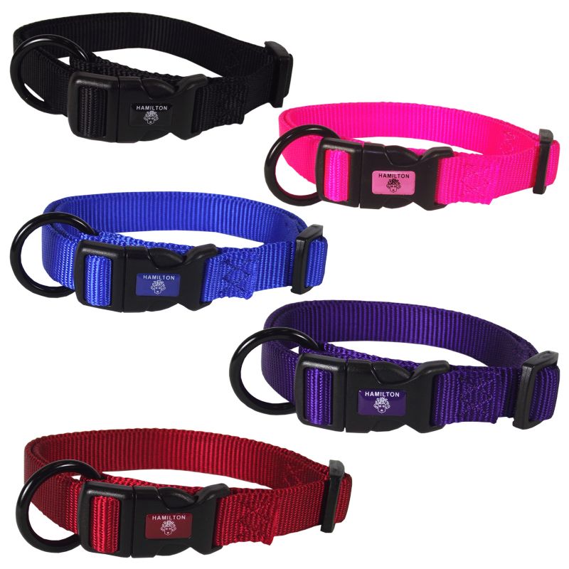 adjustable dog collar