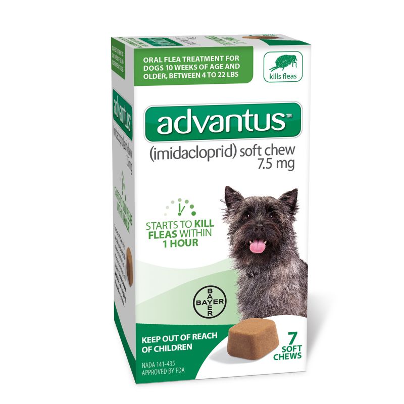 flea remedy for dogs