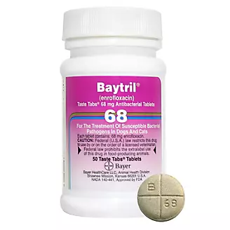 Baytril Taste Tablets 68 mg