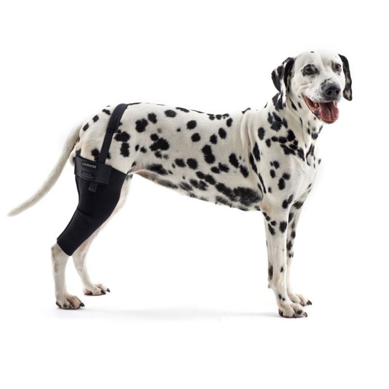 kruuse dog knee brace