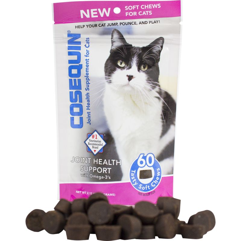 Overstock Clearance for Cats, On Sale