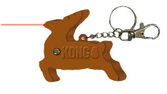 kong laser toy