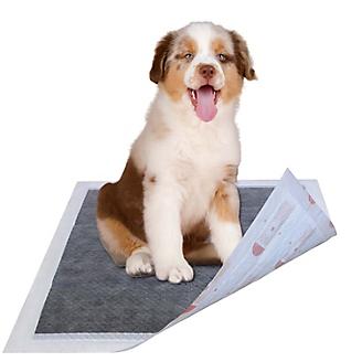 Pet Life 55 Grams Diabetic Dog Training Pads