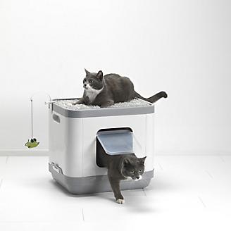 Moderna Catconcept Litterbox and Bed Combo
