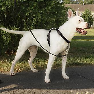 PetSafe 3in1 Dog Harness