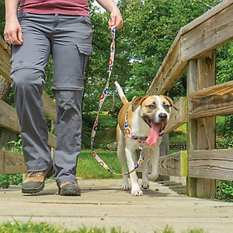 PetSafe Easy Walk Chic Dog Harness