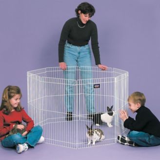 Marshall ferret outlet playpen