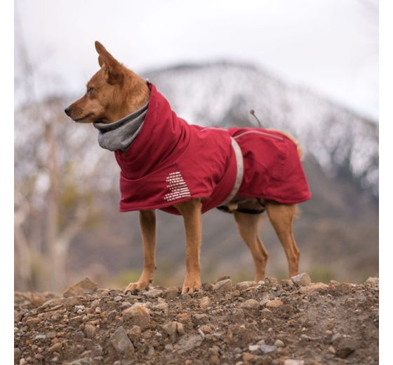 Hurtta® Extreme Warmer Dog Jacket