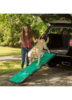 Supertrax pet clearance ramp