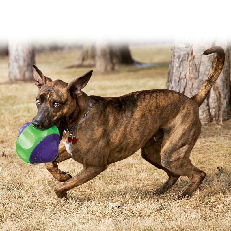 kong rambler ball dog toy