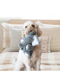 Plush Toys for Senior Dogs - SeniorPetProducts