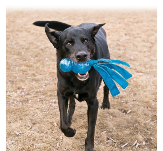 Playtime!