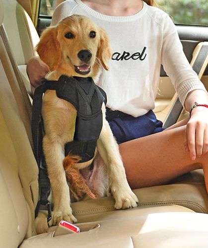 pet life harness