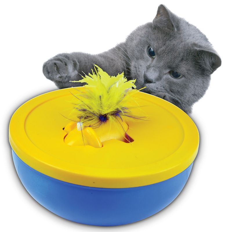 our pets cat toys