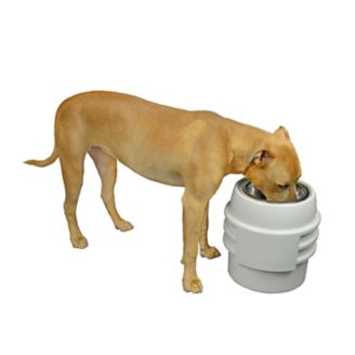 Our Pets Store N Feed Single Adjustable Dog Feeder