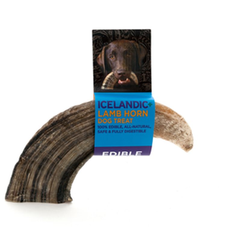 sheep horn for dogs