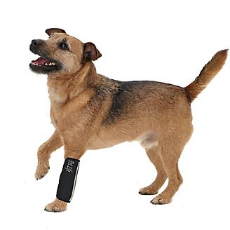 Extreme Neoprene Joint Protect Pet Sleeves
