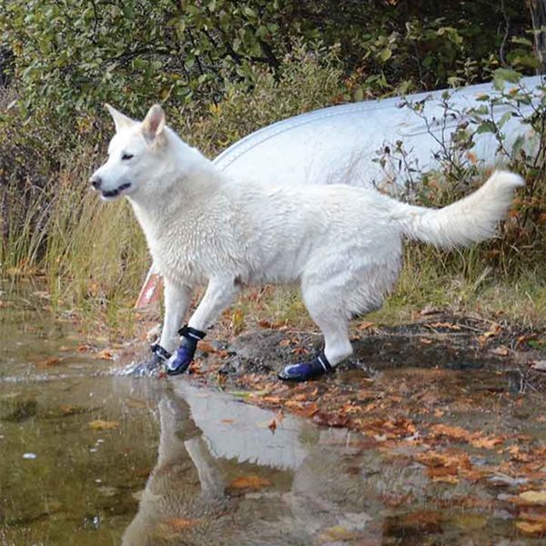 Muttluks® Dog Boots