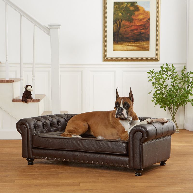 brown dog couch
