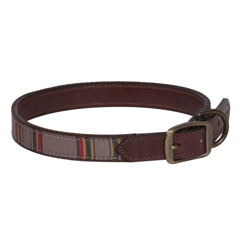 Leather Collars, Martingale Collars & More - Dog.com
