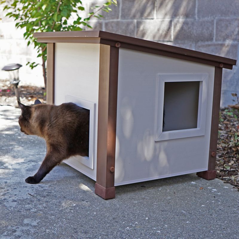 outdoor cat house