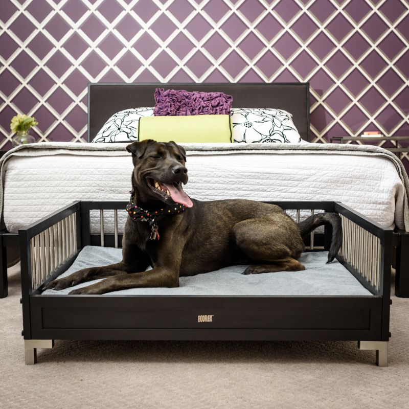 raised dog bed