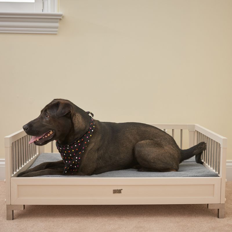 cheap raised dog beds