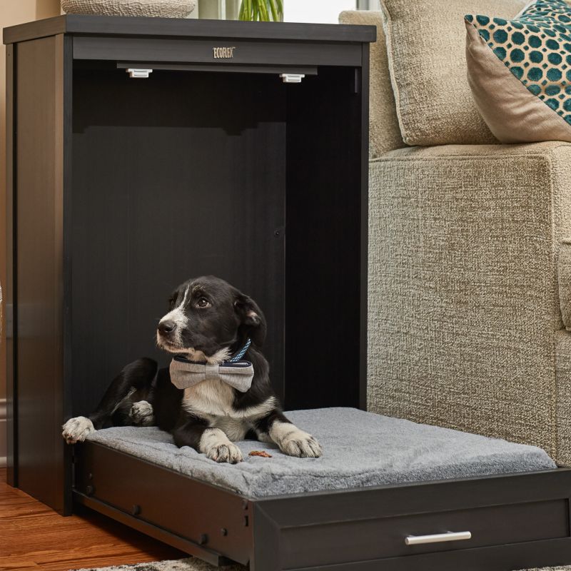 pet shoppe dog bed