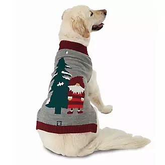 Petrageous Claus Santa Gnome Dog Sweater