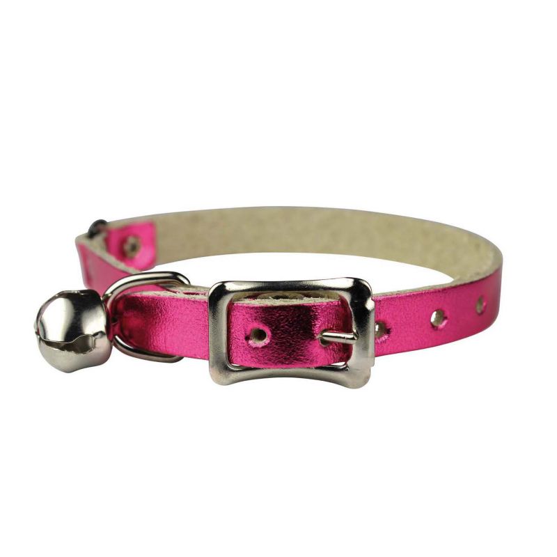 cat collar