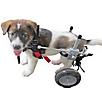 Best Friend Mobility Elite Dog Wheelchair