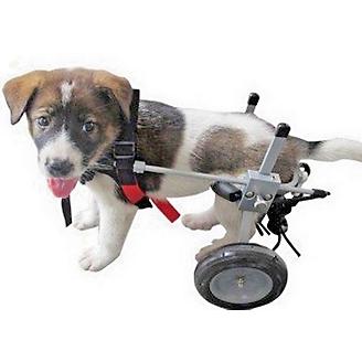 Best Friend Mobility Elite Dog Wheelchair