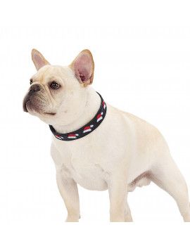 dog halo collar