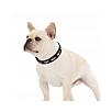 Halo Santa Hat Leather Dog Collar