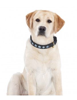 dog halo collar