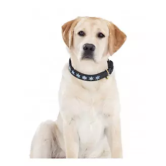 Halo Snowflake Leather Dog Collar