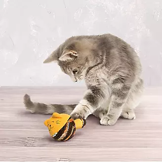 KONG Active Yarnimals Cat Toy