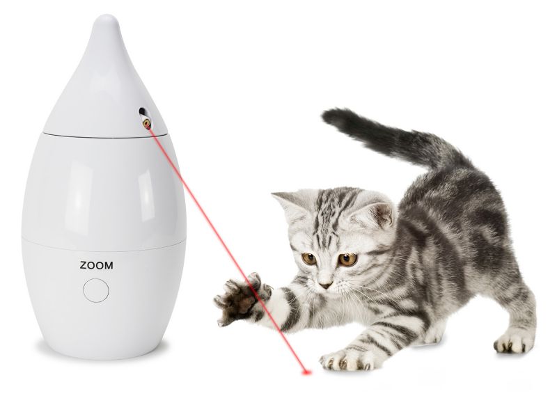 PetSafe Zoom Cat Toy