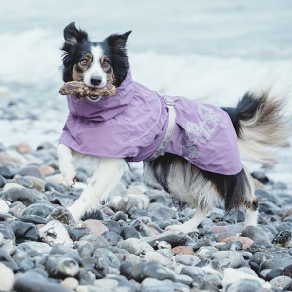 Winter Dog Coats