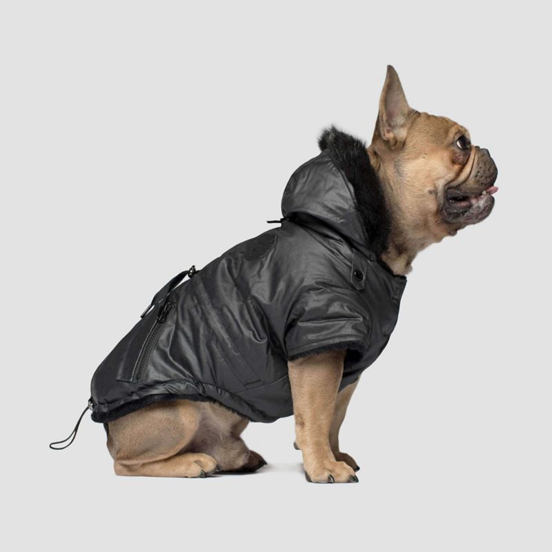 dog parka jacket