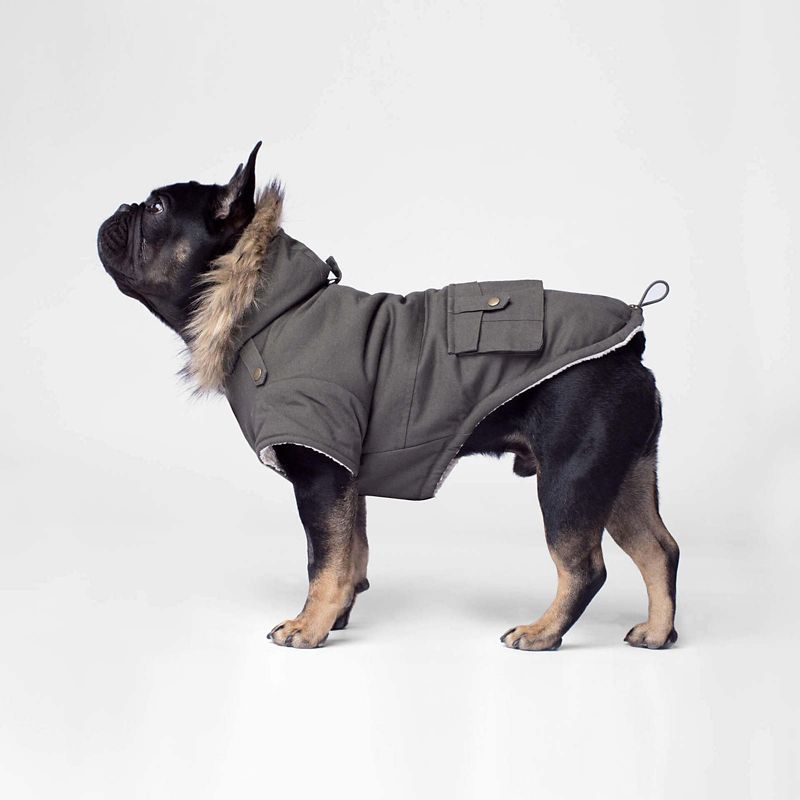 puppy parka