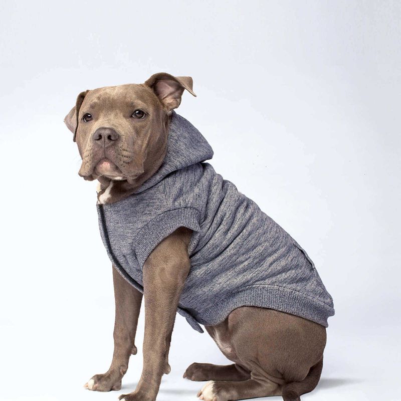 dog hoodie