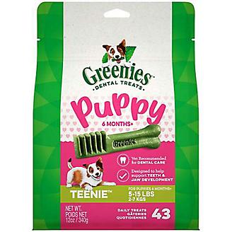 Greenies Puppy Dental Chew Treat Teenie 12oz
