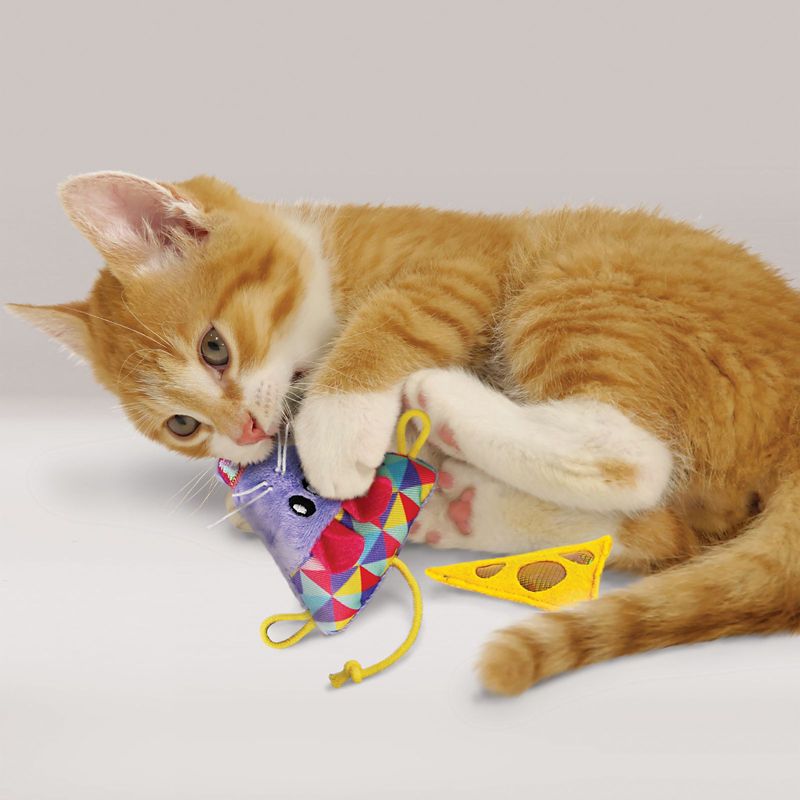 toy cat on leash